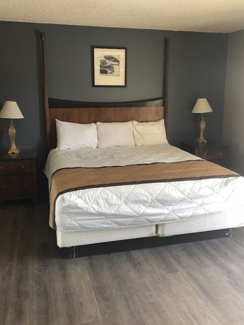 Imagen de la habitación del Hotel Budgetel Inn And Suites, Chattanooga. Foto 5