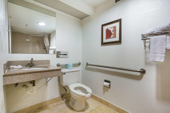 Imagen de la habitación del Hotel Budgetel Inns And Suites - Atlanta Galleria Stadium. Foto 16