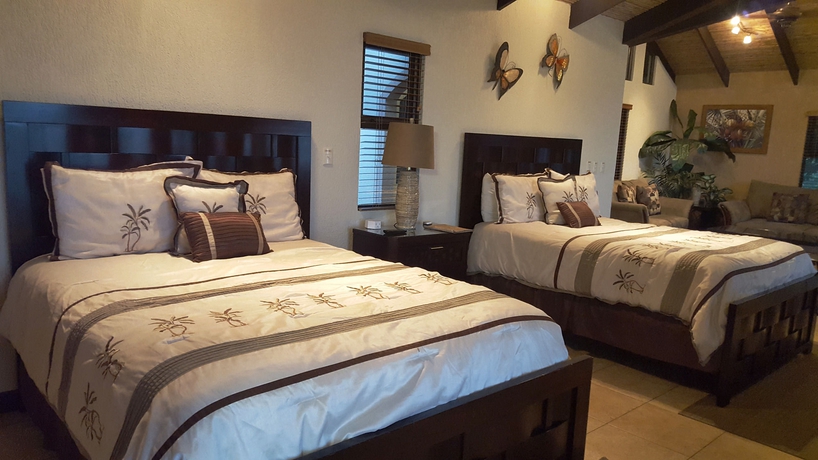 Imagen de la habitación del Hotel Buena Vista Chic. Foto 4