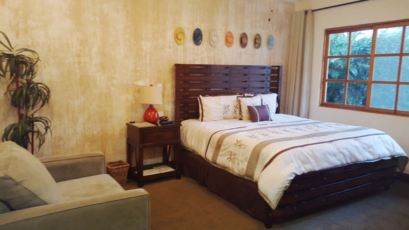 Imagen de la habitación del Hotel Buena Vista Chic. Foto 7