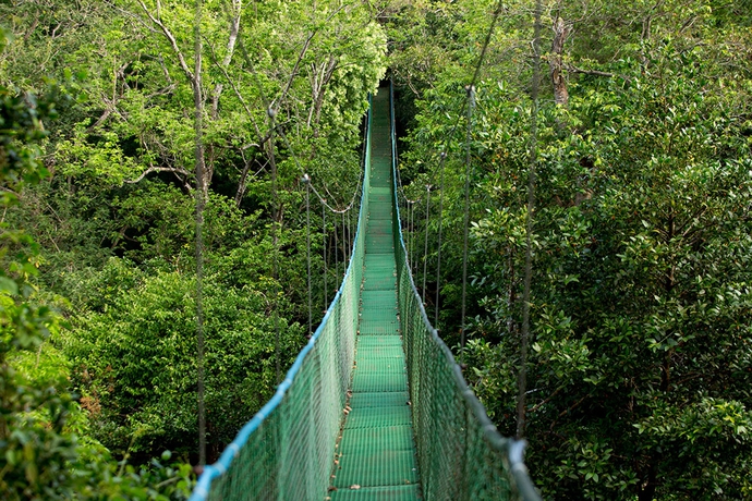 Imagen general del Hotel Buena Vista Del Rincon Eco Adventure Park, and Spa. Foto 2