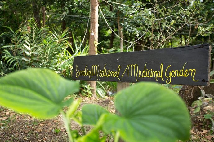 Imagen general del Hotel Buena Vista Del Rincon Eco Adventure Park, and Spa. Foto 8