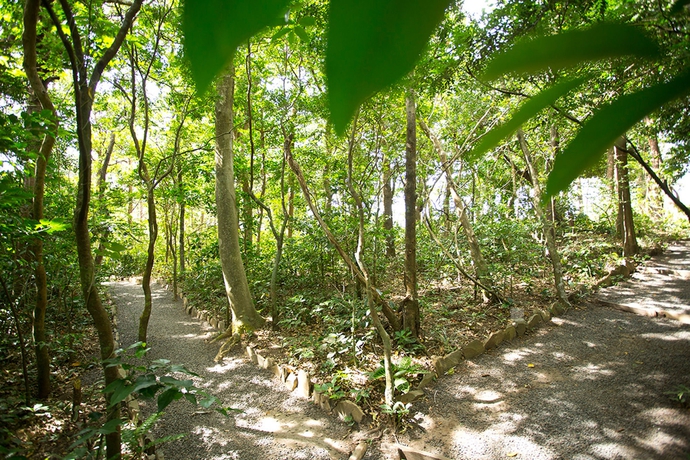 Imagen general del Hotel Buena Vista Del Rincon Eco Adventure Park, and Spa. Foto 9