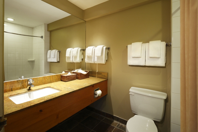 Imagen de la habitación del Hotel Buffalo Mountain Lodge. Foto 7