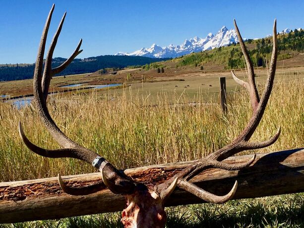 Imagen general del Hotel Buffalo Valley Ranch. Foto 3