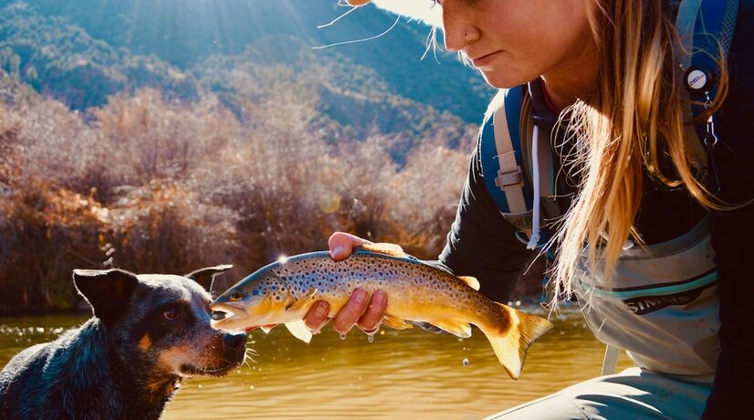 Imagen general del Hotel Buffalo Valley Ranch. Foto 11