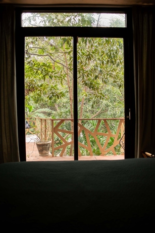 Imagen de la habitación del Hotel Bufo Alvarius. Foto 6