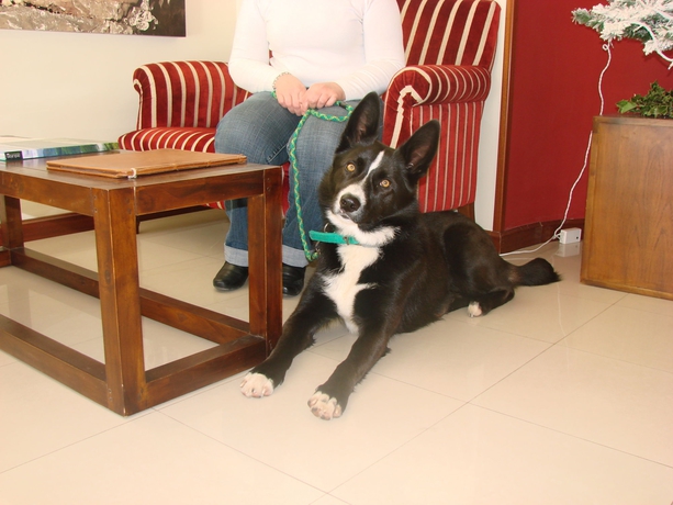 Imagen de la habitación del Hotel Bufón De Arenillas. Foto 12