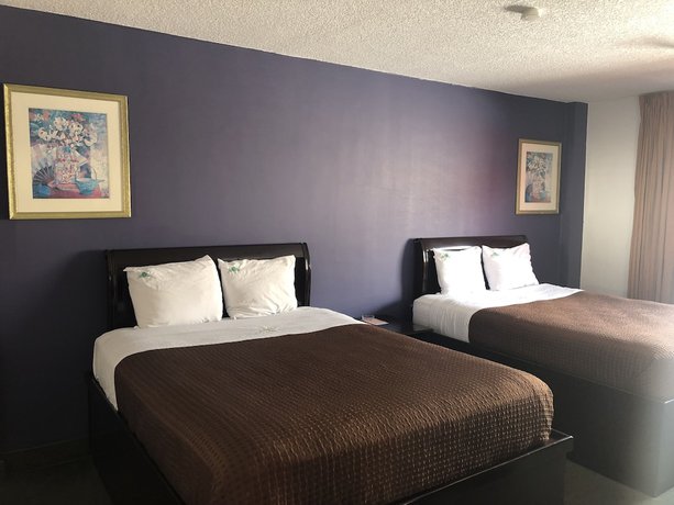 Imagen de la habitación del Hotel Bugambilias. Foto 9