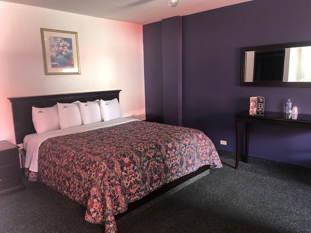 Imagen de la habitación del Hotel Bugambilias. Foto 19