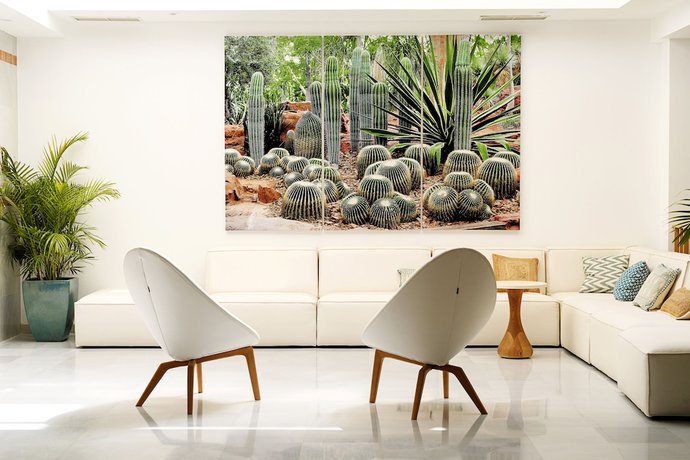 Imagen de los interiores del Hotel Buganvilla and Spa. Foto 14