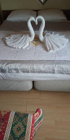 Imagen de la habitación del Hotel Buhara. Foto 2