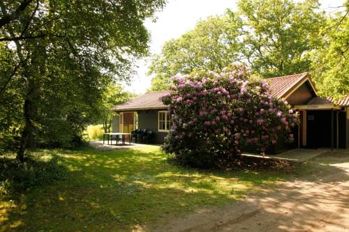 Imagen de la habitación del Hotel Buitengoed Fredeshiem. Foto 11