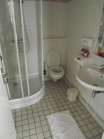 Imagen de la habitación del Hotel Buitenherberg Ter Linde. Foto 5