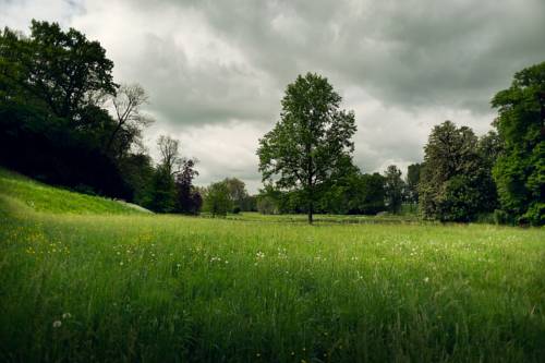 Imagen de la habitación del Hotel Buitenplaats Kasteel Elsloo. Foto 5