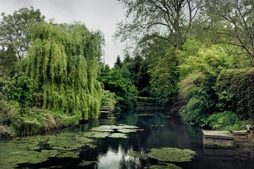 Imagen de la habitación del Hotel Buitenplaats Kasteel Elsloo. Foto 6