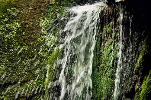 Imagen de la habitación del Hotel Buitenplaats Kasteel Elsloo. Foto 7