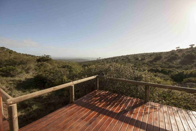 Imagen general del Hotel Bukela Game Lodge Amakhala Game Reserve. Foto 8