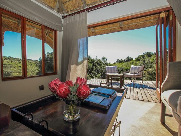 Imagen de la habitación del Hotel Bukela Game Lodge Amakhala Game Reserve. Foto 19
