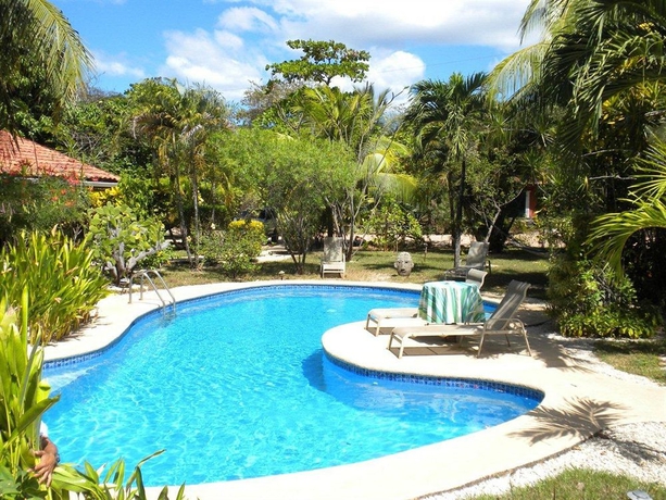 Imagen de la piscina del Hotel Bula Bula. Foto 7