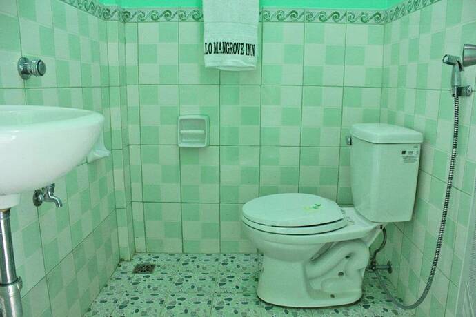 Imagen general del Hotel Bulalo Mangrove Inn. Foto 6