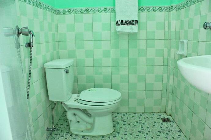 Imagen general del Hotel Bulalo Mangrove Inn. Foto 7