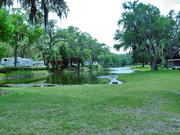 Imagen general del Hotel Bulow RV Resort. Foto 13