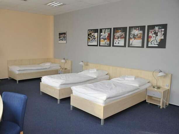 Imagen de la habitación del Hotel Buly Aréna Kravaře. Foto 18