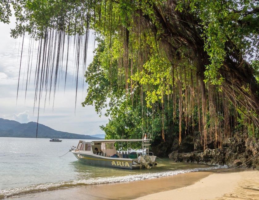 Imagen general del Hotel Bunaken Divers Sea Breeze Resort. Foto 6