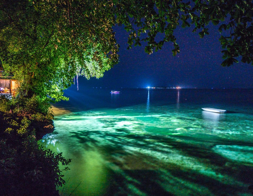 Imagen general del Hotel Bunaken Divers Sea Breeze Resort. Foto 13
