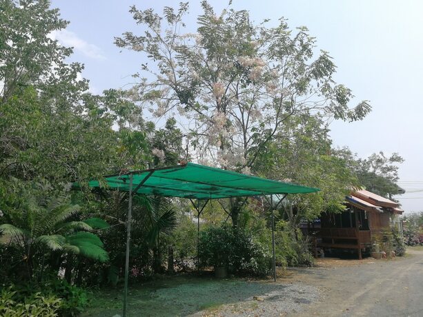 Imagen general del Hotel Bung Lung Resort. Foto 7