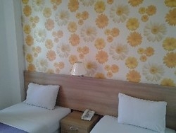 Imagen de la habitación del Hotel Bunga Bunga. Foto 13