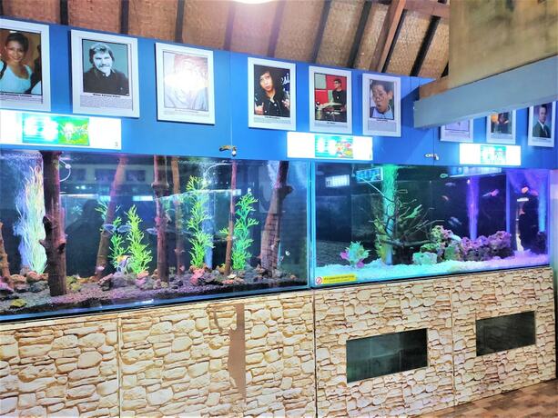 Imagen general del Hotel Bungalow Etnik. Foto 14