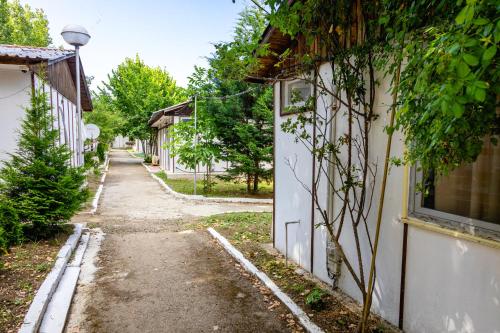 Imagen general del Hotel Bungalow Silitur. Foto 17