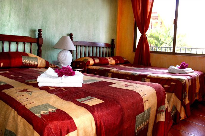 Imagen de la piscina del Hotel Bungalows El Delfin. Foto 16