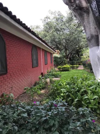 Imagen general del Hotel Bungalows La Huerta. Foto 5
