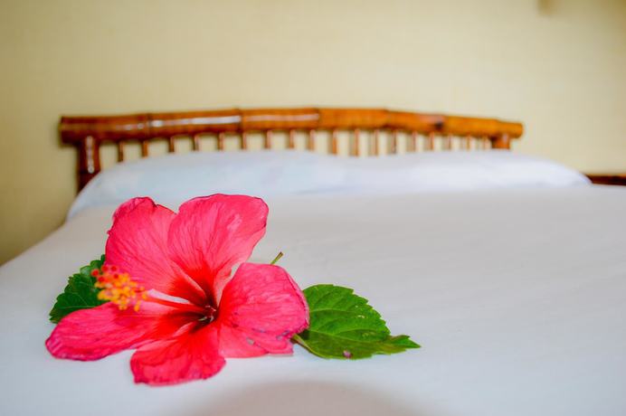 Imagen de la habitación del Hotel Bungalows La Madera, Zihuatanejo. Foto 6