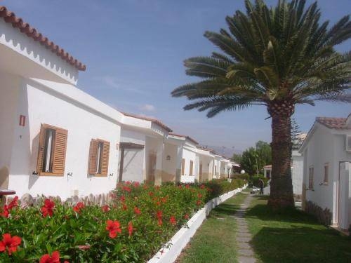 Imagen general del Hotel Bungalows Parque Cristina. Foto 3