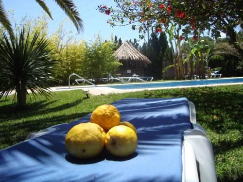 Imagen general del Hotel Bungalows Puravida. Foto 2