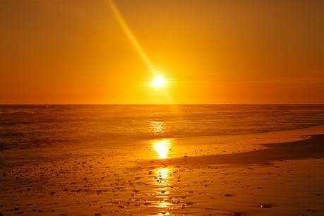 Imagen general del Hotel Bungalows Puravida. Foto 3