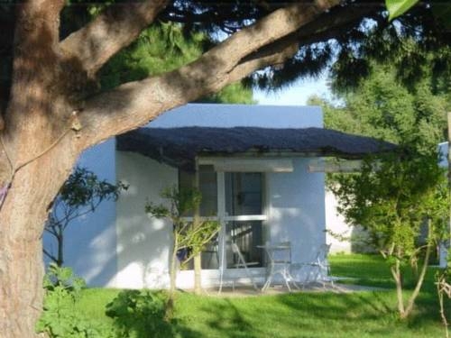 Imagen general del Hotel Bungalows Puravida. Foto 8