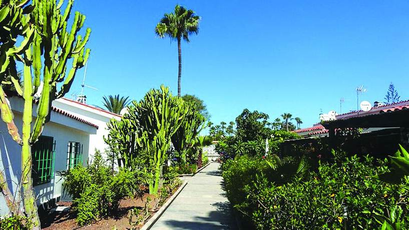 Imagen de los exteriores del Hotel Bungalows Romandie. Foto 12