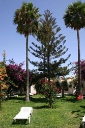 Imagen general del Hotel Bungalows Tajaraste. Foto 10