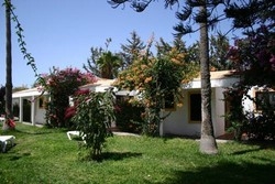 Imagen general del Hotel Bungalows Tajaraste. Foto 11