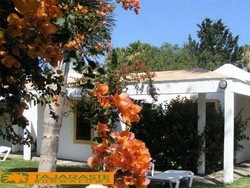 Imagen general del Hotel Bungalows Tajaraste. Foto 14