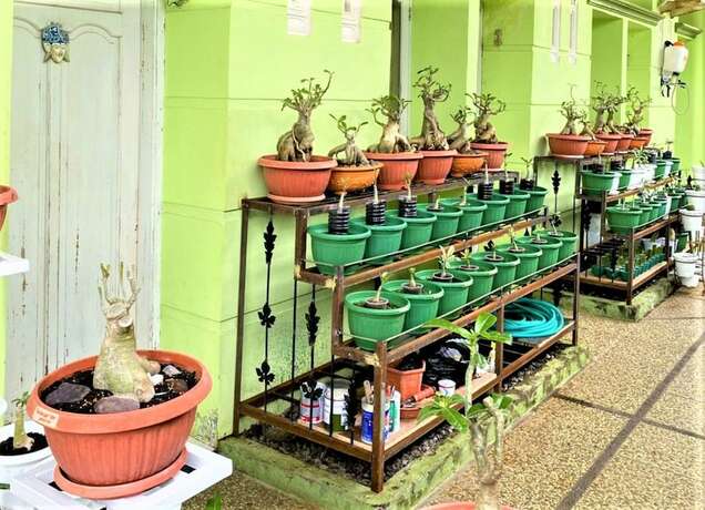 Imagen general del Hotel Buntusu Guest House. Foto 3