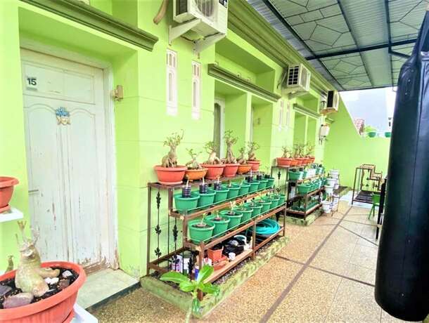 Imagen general del Hotel Buntusu Guest House. Foto 9