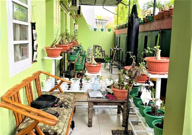 Imagen general del Hotel Buntusu Guest House. Foto 14