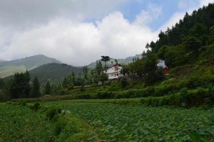 Imagen general del Hotel Burans And Restaurant. Foto 14