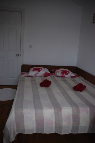 Imagen de la habitación del Hotel Burevestnik Rowing club. Foto 7